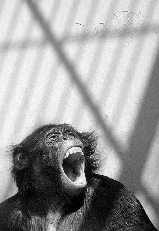 69 Tiere DDD_3156 Kopie.jpg